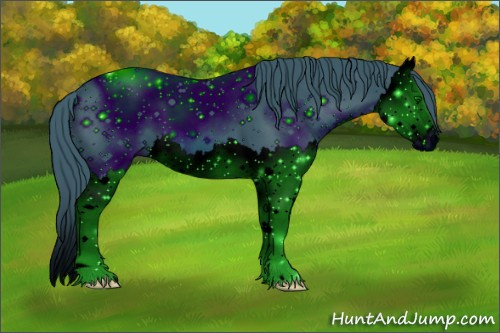Horse Color: ERROR: UNKNOWN ANOMALY