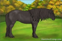 Horse Color:Smoky Black 