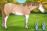 Horse Color:Bay Pearl Splash Frame