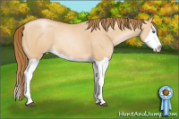 Horse Color:Bay Pearl Dun Splash 
