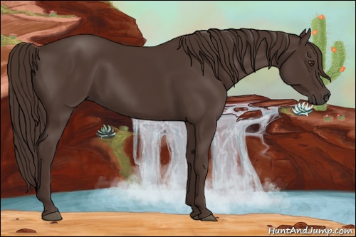 Horse Color: Liver Chestnut 