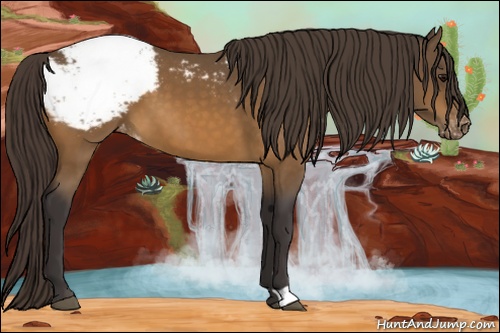 Horse Color: Buckskin Snowcap 