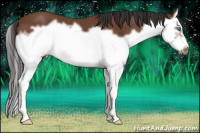 Horse Color:Bay Splash Frame