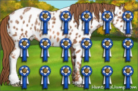 Horse Color:Red Ice Roan Sabino Appaloosa Rabicano 