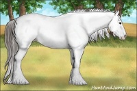 Horse Color:Bay Roan Fewspot 