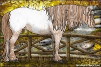 Horse Color:Brown Roan Pearl Snowcap 
