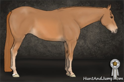 Horse Color: Chestnut 