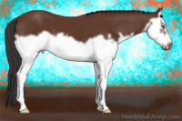 Horse Color:Bay Splash Frame