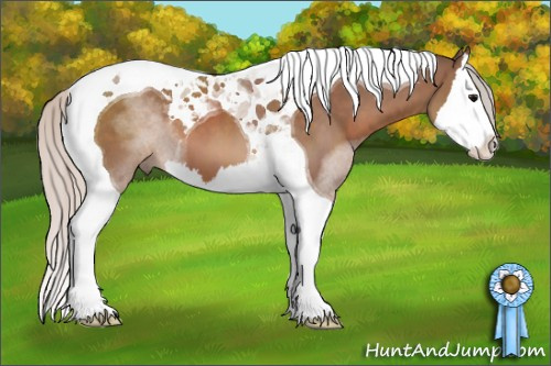 Horse Color: Silver Black Splash Tobiano 