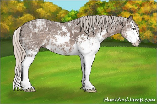 Horse Color: Silver Black Ice Sabino Splash 