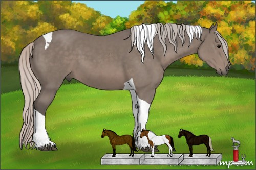 Horse Color: Silver Black Tobiano 