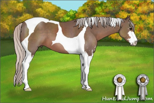 Horse Color: Silver Black Sabino Tobiano 