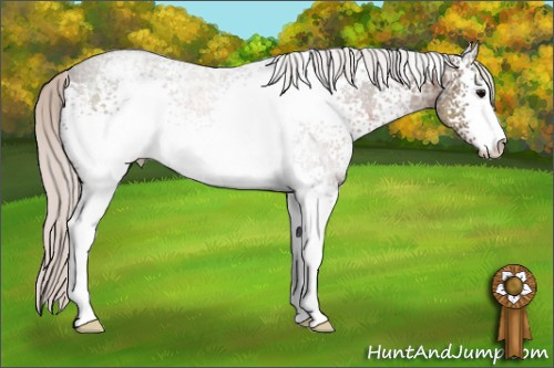 Horse Color: White Spotted Silver Black Ice Sabino Rabicano 