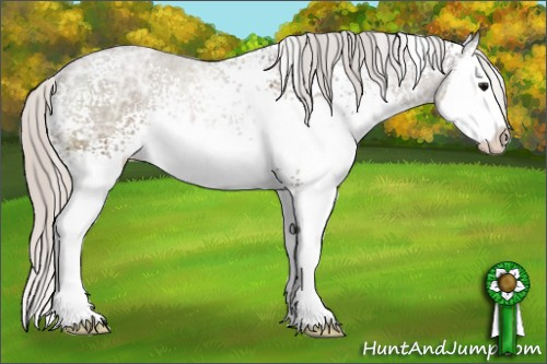 Horse Color: White Spotted Silver Black Ice Sabino Splash Rabicano 