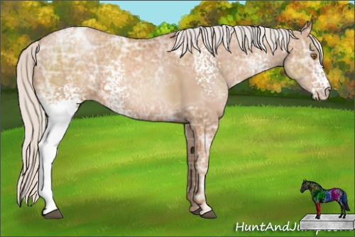 Horse Color: White Spotted Silver Black Ice Pearl 