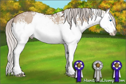 Horse Color: White Spotted Silver Brown Dun Splash Rabicano 