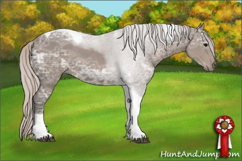 Horse Color: Silver Black Ice Tobiano 