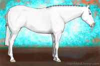 Horse Color:Silver Amber Champagne Roan Dun Splash Tobiano Frame Blanket Rabicano