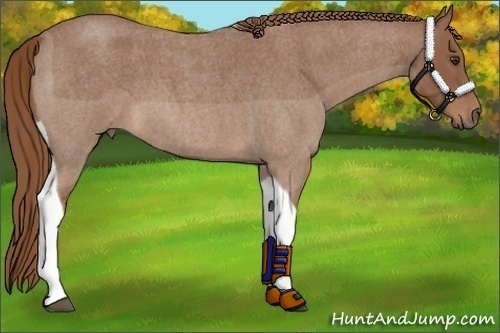 Horse Color:Red Roan Tobiano 