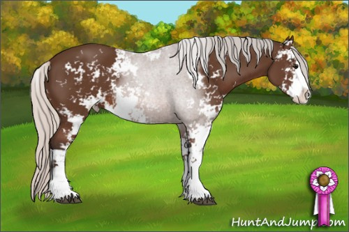Horse Color: Silver Brown Sabino 