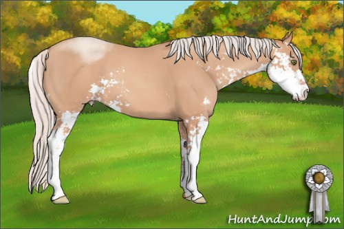 Horse Color: Silver Classic Champagne Sabino 