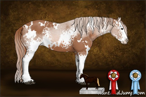 Horse Color: White Spotted Liver Chestnut Splash 