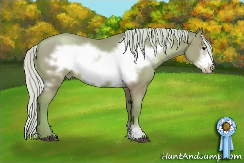 Horse Color: Watercolor Silver Brown Pearl Frame 
