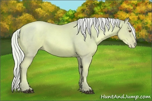 Horse Color: Watercolor Silver Bay Pearl 
