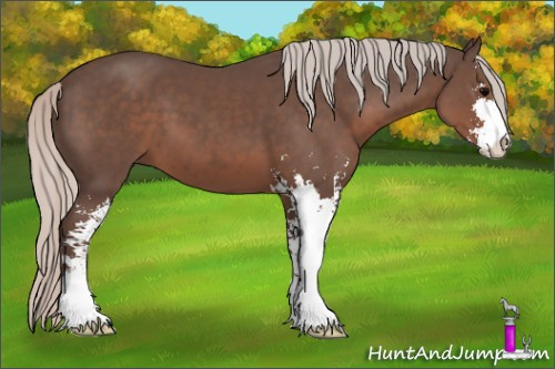 Horse Color: Silver Brown Sabino 