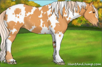 Horse Color:White Spotted Chocolate Palomino 