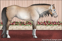 Horse Color:Gray Amber Champagne Roan Splash Frame 