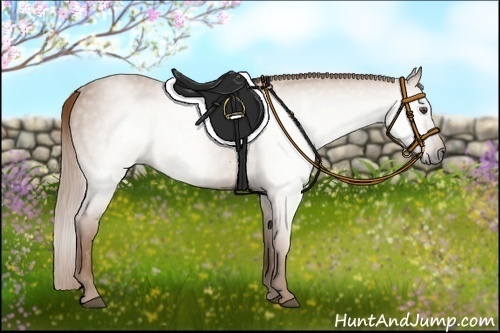Horse Color:Gray Chestnut
