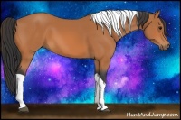 Horse Color:Bay Tobiano 