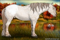 Horse Color:Liver Red Dun Roan Pearl Snowflake VarnishRabicano 