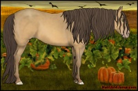 Horse Color:Sable Cream Champagne 