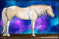 Horse Color:Gray Silver Amber Cream Champagne Roan Dun Splash Tobiano Frame Appaloosa Rabicano 