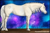 Horse Color:White Spotted Gold Cream Champagne Dun 