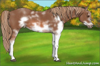 Horse Color:Chestnut Sabino Frame