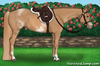 Horse Color:White Spotted Chestnut Sabino Frame 
