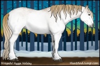 Horse Color:Gray White Spotted Red Dun 