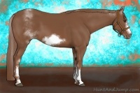 Horse Color:White Spotted Chestnut Sabino Frame 