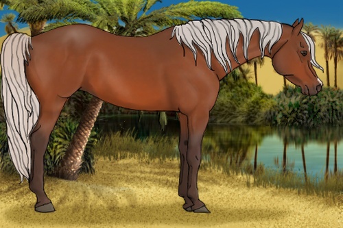 Horse Color: Silver Bay 