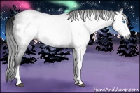 Horse Color:Gray Black Frame 