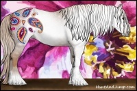 Horse Color:Gray Chestnut 