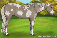 Horse Color:Silver Grullo Ice 