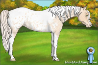 Horse Color:Silver Amber Champagne Roan Dun Splash Tobiano Frame Appaloosa Rabicano
