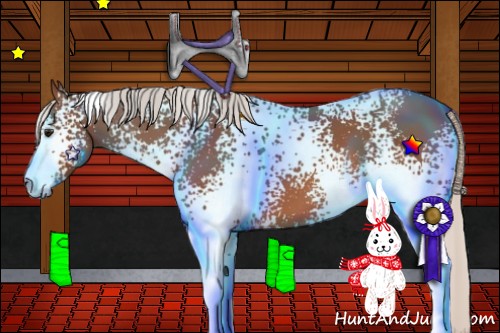 Horse Color: White Spotted Silver Bay Sabino 
