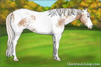 Horse Color:White Spotted Silver Black Pearl Tobiano 
