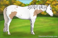 Horse Color:Silver Bay Dun Splash Tobiano 