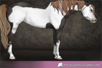 Horse Color:Liver Chestnut Frame 